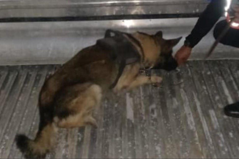 Las drogas eran transportadas en un contenedor procedente de Costa Rica. (Foto: PNC)