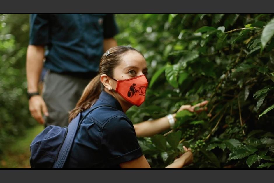 Si te gusta la cerveza y el caf&eacute;, la Coffee Stout es para ti. (Fotograf&iacute;a cortes&iacute;a: El Zapote Brewing Company)
