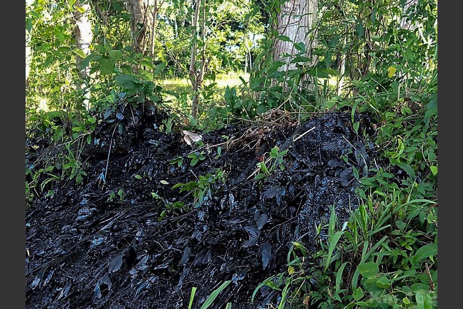 Reportan derrame de petróleo en Petén por supuesta fuga en oleoducto. (Foto: Prensa Comunitaria)