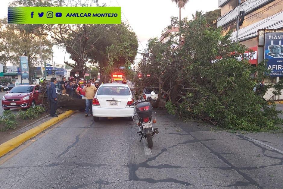 Dos veh&iacute;culos se vieron afectados por la ca&iacute;da de un &aacute;rbol en la Calle Mont&uacute;far. (Foto: Am&iacute;lcar Montejo/PMT Guatemala)
