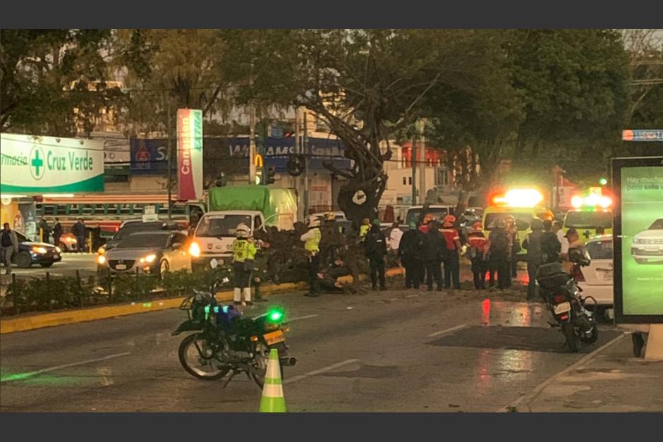 El &aacute;rbol cay&oacute; justo cuando varios carros transitaban en el lugar. (Foto: Twitter/Jaguar NegroGT)&nbsp;