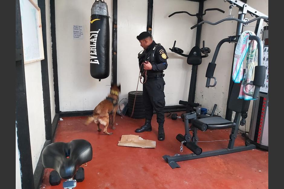 Un gimnasio con máquinas especializadas para hacer ejercicio fue desmantelada en la cárcel de El Boquerón. (Foto: PNC)