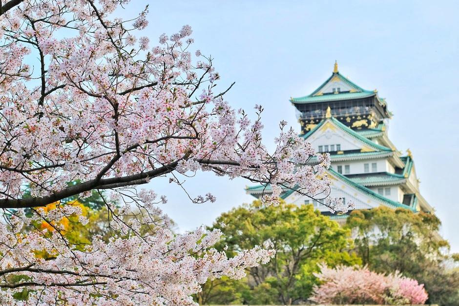 Japón ofrece la beca "Monbukagakusho" para el 2021. (Foto: Pexels)