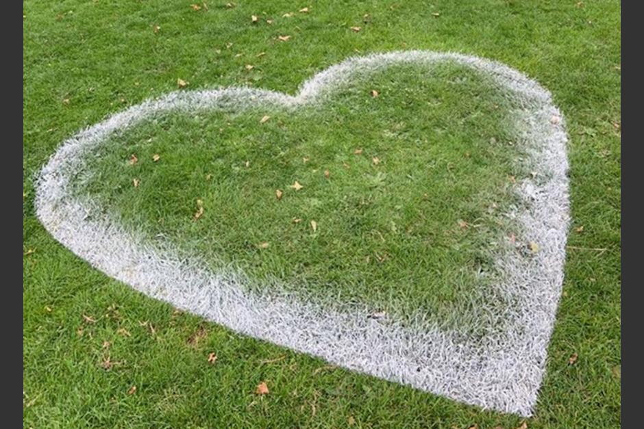 Así marcan el distanciamiento social los británicos en los parques. (Foto: BBC Bristol)