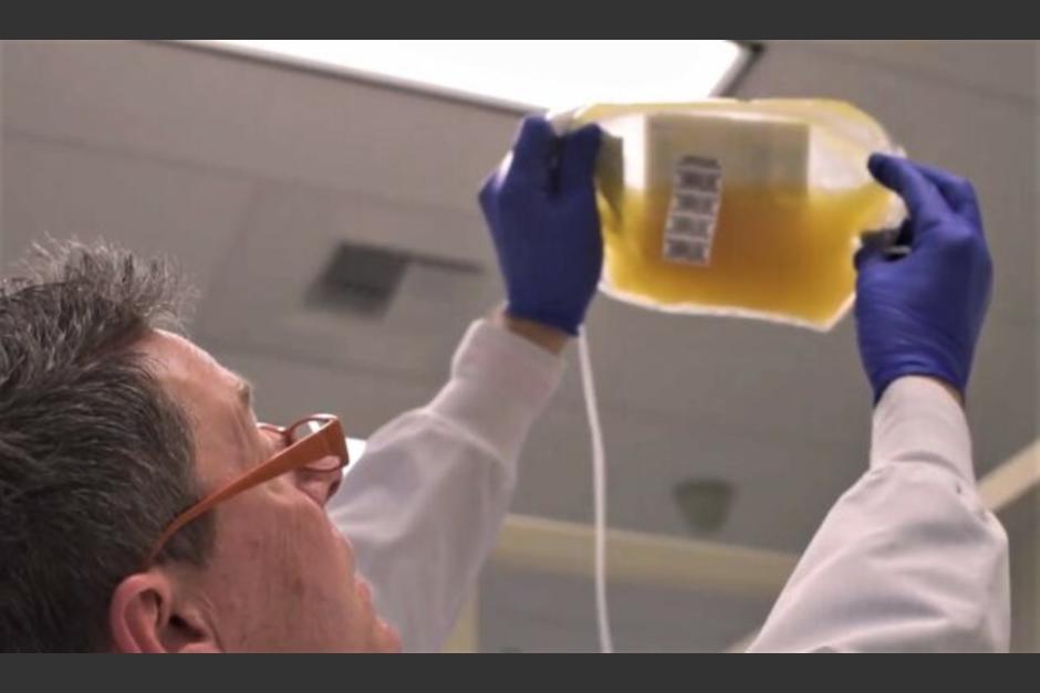 Ocho pacientes con Covid-19, del Hospital Roosevelt, se han beneficiado con transplante de plasma. (Foto: GeekWire)