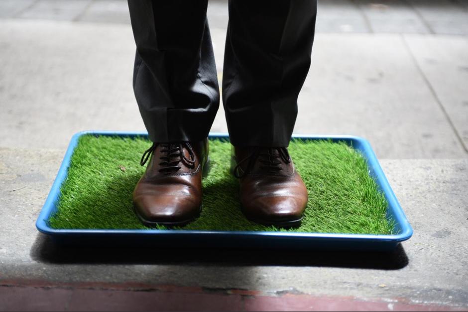 Cada pediluvio cuesta entre 100 y 400 quetzales. (Foto: Congreso)