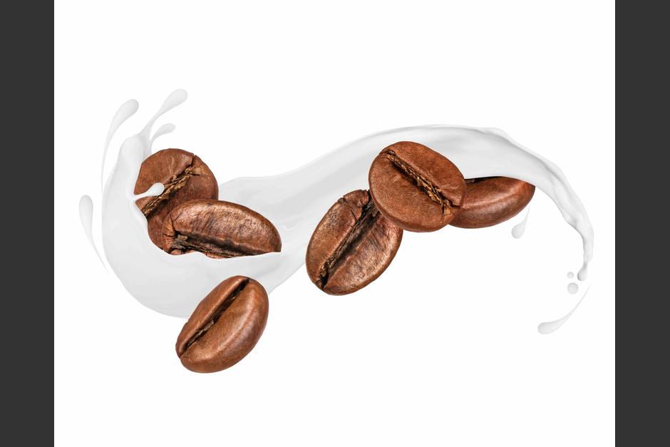 El nuevo yogurt de Valpara&iacute;so es fabricado con leche de vaca, en combinaci&oacute;n con&nbsp; granos de caf&eacute; cultivados en sus fincas. (Imagen ilustrativa: shutterstock)