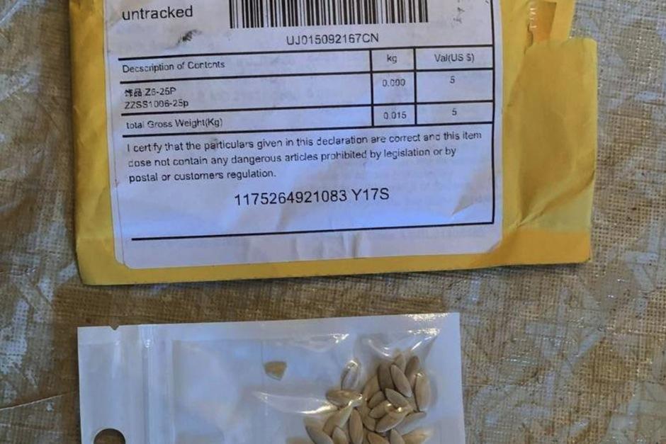 Ciudadanos estadounidenses reciben semillas desde China por correo, sin haberlas pedido. (Foto: Departamento de agricultura del Estado de Washington)