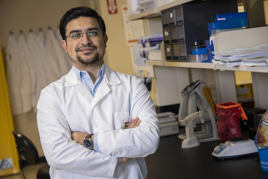 El doctor Marco Franco ha liderado diversas investigaciones en el &aacute;rea de la toxicolog&iacute;a. (Foto:&nbsp;Matthew Minard/Universidad de Baylor)