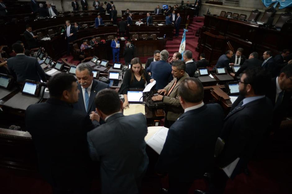 La ley busca evitar que ingrese al país una enfermedad que afecta a cultivos de plátano y banano en otros países. (Foto: Wilder López/Soy502)