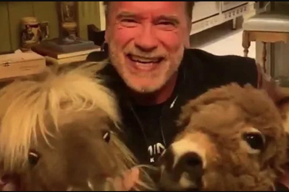 Arnold Schwarzenegger public&oacute; un video en donde da tips para quedarse en casa debido a la emergencia mundial por el coronavirus. (Foto: Captura de video)