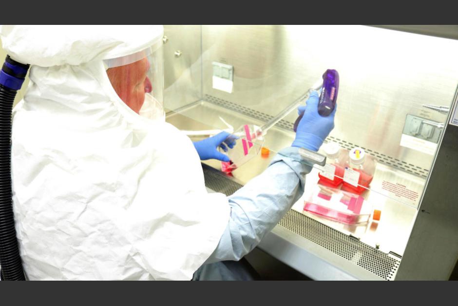 La comunidad científica trabaja a marchas forzadas para ofrecerle a la humanidad una forma de detener y tratar la nueva neumonía COVID-19. (Foto: AFP)