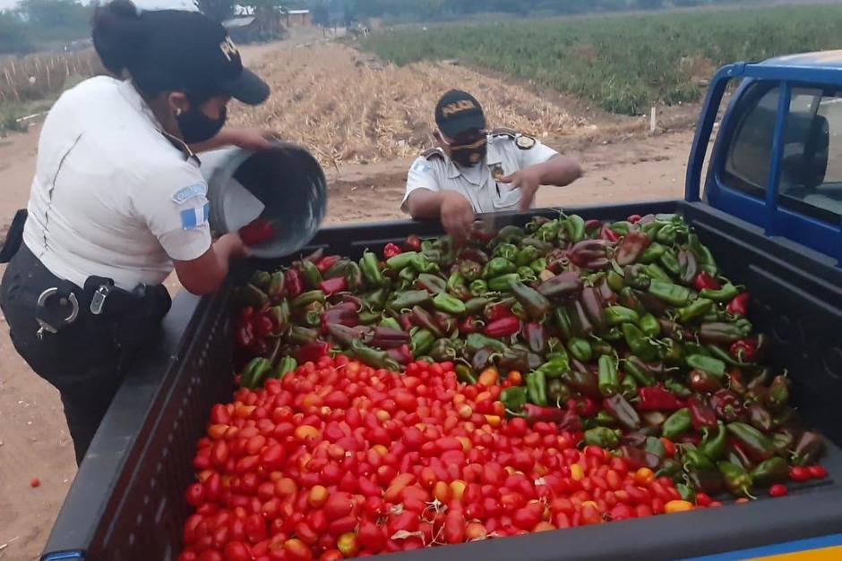 Los agentes llenan la patrulla con tomates y chiles pimientos que ser&aacute;n entregados a familias de escasos recursos. (Foto: Polic&iacute;a Nacional Civil)