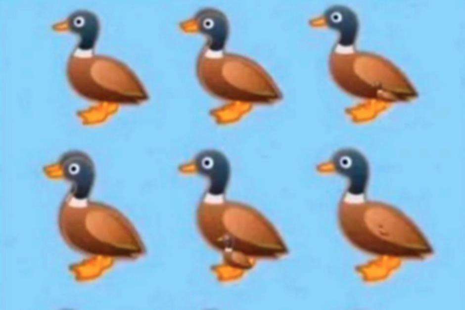 Una singular imagen es el dolor de cabeza de muchos. (Foto: Oficial)