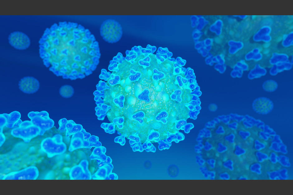 El virus se ha hallado en otras partes del organismo, de acuerdo con la investigación realizada a pacientes que fallecieron a consecuencia de la covid-19. (Foto: Freepik)