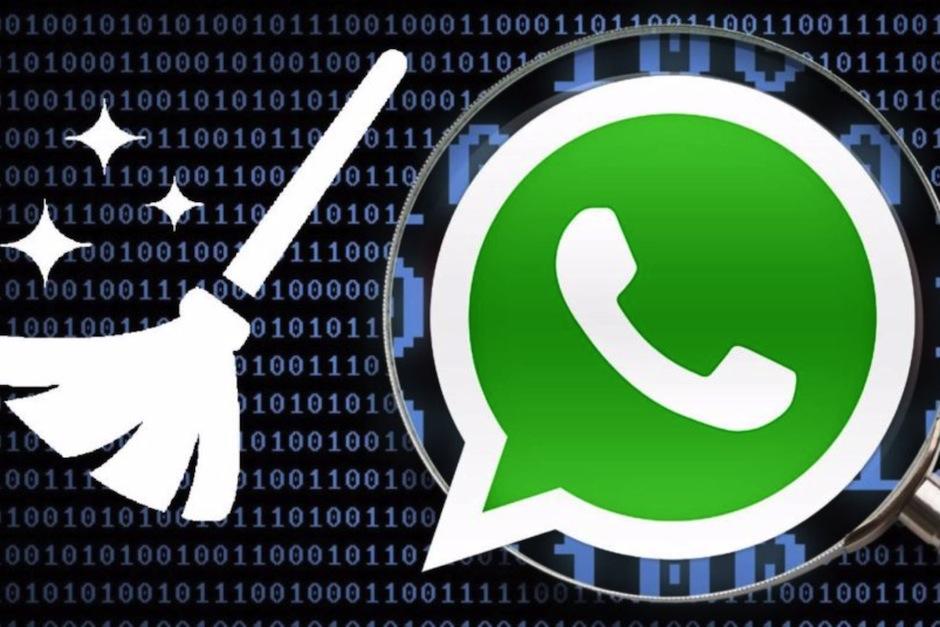 Así podrás aprovechar al máximo su rendimiento. (Foto: Instituto Ipec)