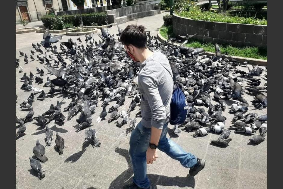 Situaci&oacute;n similar se vive en Xela donde la Asociaci&oacute;n The DOX Project, se encarga de alimentarlas junto a la PNC. (Foto: The DOX Project)