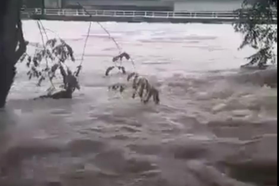 Un hombre mostró el lugar donde se encuentra en Melchor, Petén.&nbsp;