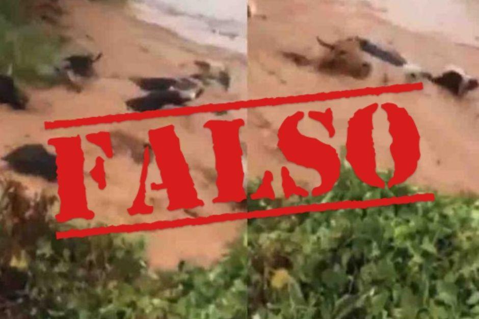 Varios videos han sido compartidos mencionando que se trata de Guatemala. (Foto: captura video)&nbsp;