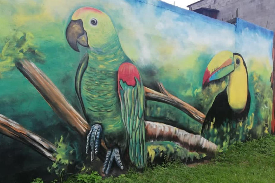 La Municipalidad de Mixco mostr&oacute; los murales pintados en la colonia Nueva Montserrat. (Foto: Facebook, Neto Bran)