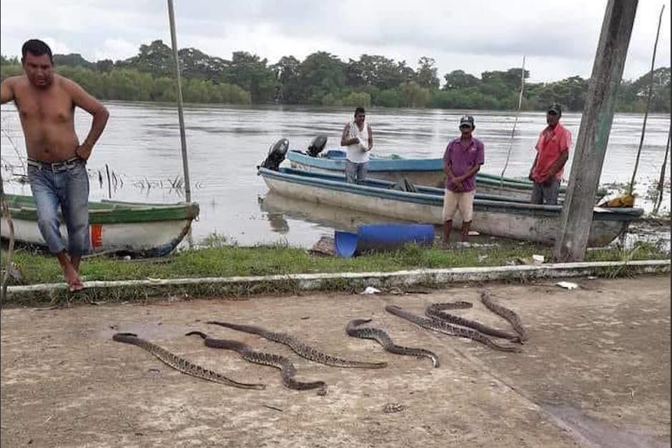 Pobladores reportan que algunas veces sucede este avistamiento. (Foto: Facebook)