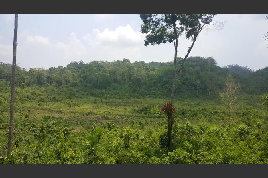 La Reserva Forestal de Vaca se localiza al sur de Benque Viejo y el Arenal, en Belice. (Foto: Booking)