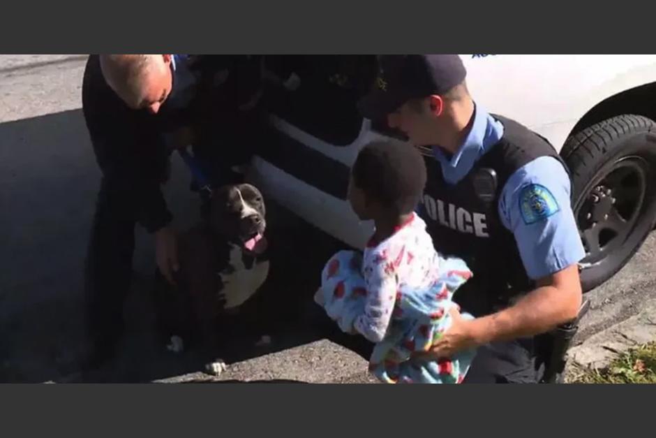 El perro se encargó de resguardar al menor.&nbsp; El padre posteriormente localizó al niño. (Foto: captura pantalla)&nbsp;