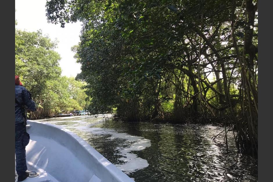 Las autoridades tomaron muestras del agua contaminada. (Ministerio de Ambiente)