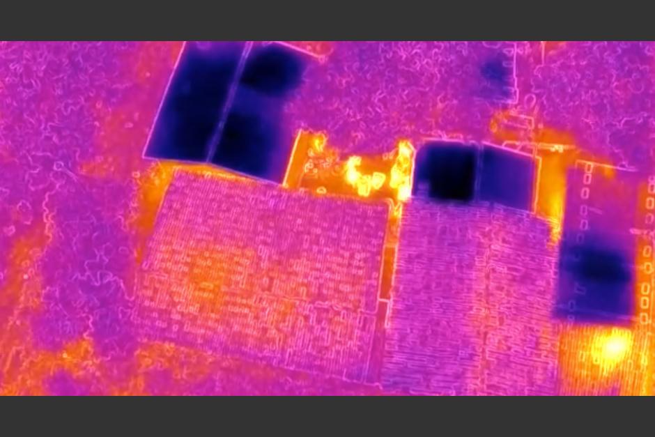 Las autoridades realizaron allanamientos y ubicaron a los presuntos delincuentes por medio de un dron. (Foto: PNC)&nbsp;