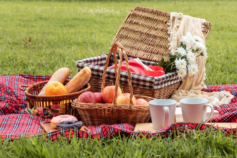 Tienes diferentes opciones t&uacute; eliges a d&oacute;nde ir (Imagen Ilustrativa: Freepik)