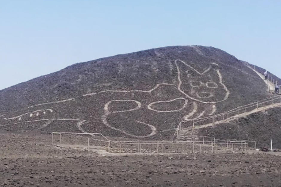 El felino fue hecho en las laderas de una colina (Imagen: Captura de pantalla Euronews)