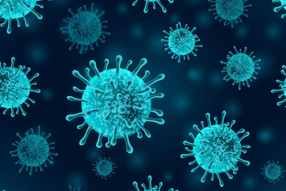 Un grupo de investigadores japoneses realiz&oacute; el estudio (Imagen ilustrativa: Freepik)