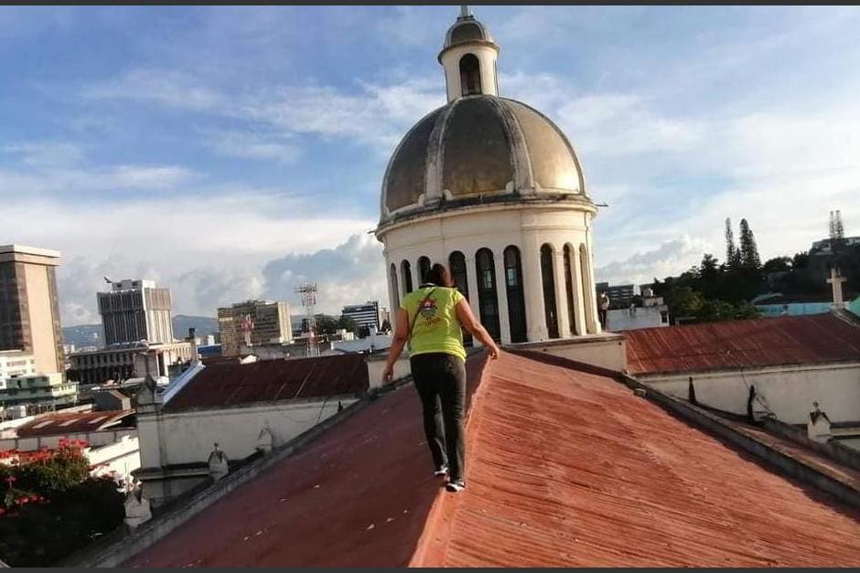 Trabajadores del Albergue Municipal de Mascotas lograron atrapar al gato que estuvo en el techo del Calvario. (Foto: Albergue Municipal)