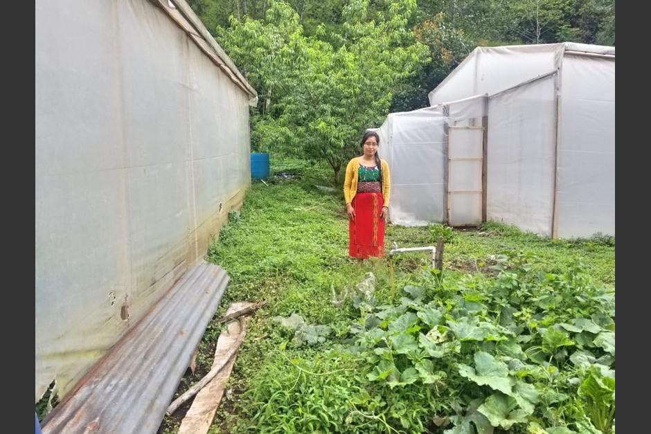 María Rebeca Pérez recibió capacitación y logró vencer la extrema pobreza. (Foto: FAO)