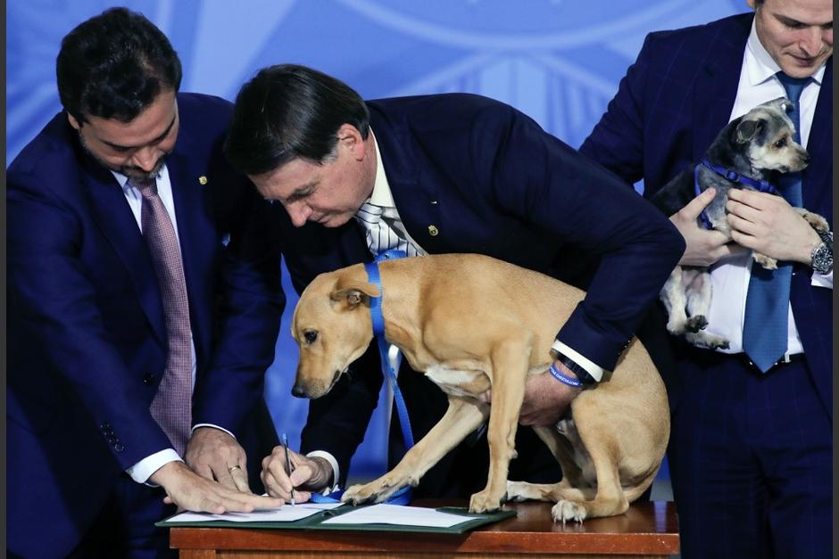 El presidente de Brasil, Jair Bolsonaro firma la ley que protege a integridad y la vida de las mascotas. (Foto: AFP)
