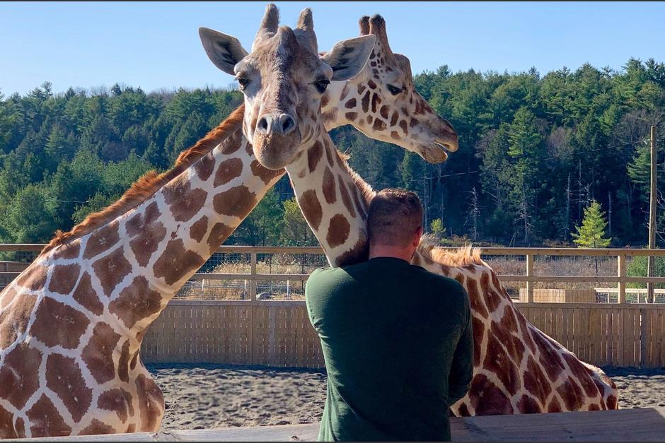 La jirafa era una de las más populares del zoológico, pero su enfermedad se complicó en poco tiempo. (Foto: Animal Adventure Park)