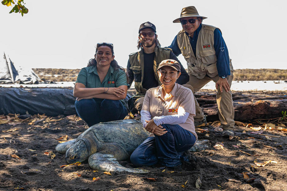 El Zool&oacute;gico La Aurora abri&oacute; una plaza de trabajo en el&nbsp;Centro de Conservaci&oacute;n Marina AGHN . (Foto: Zoo La Aurora)
