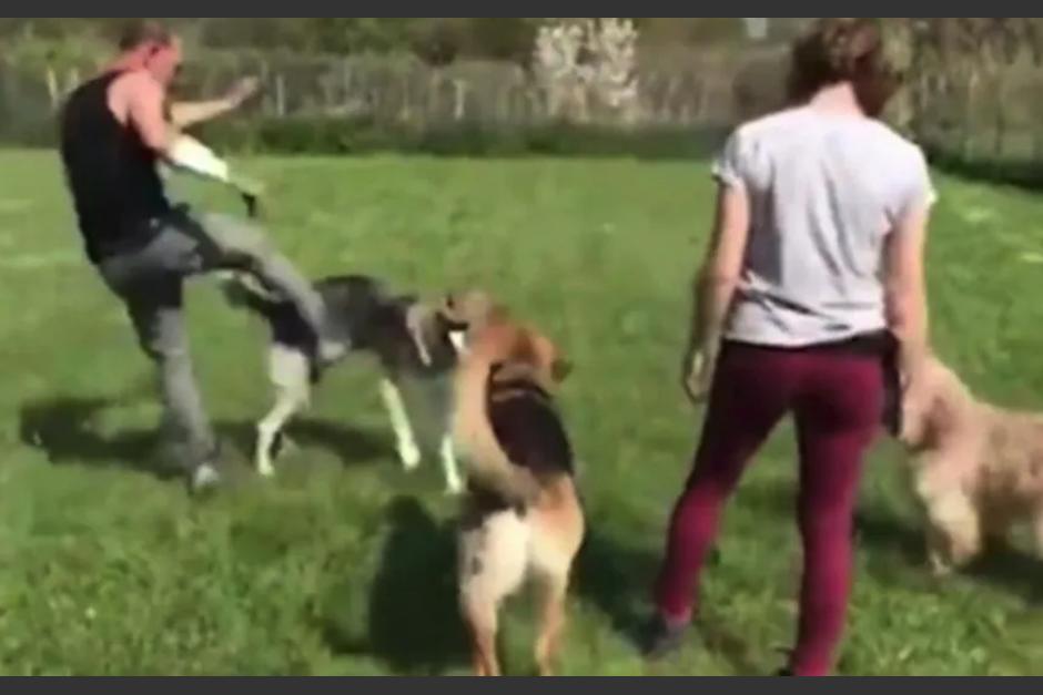 Momento en que el adiestrador lastima al can. (Foto: captura de pantalla)