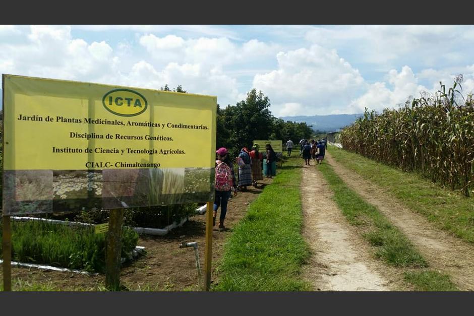 Vista de un &aacute;rea de las fincas del ICTA donde, seg&uacute;n el Ejecutivo, se construir&aacute; el Hospital Regional de Chimaltenango. (Foto: Facebook)&nbsp;
