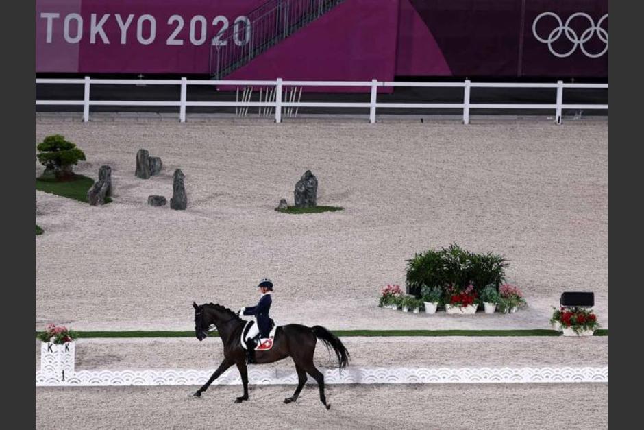 El caballo tuvo una grave lesión y no había manera de recuperarlo, según informó el Comité Olímpico Suizo. (Foto: AFP)