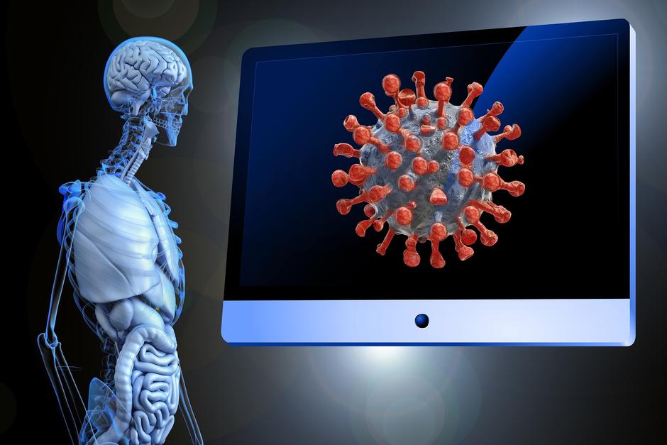 La salud intestinal juega un papel importante para defenderse ante el Covid-19. (Foto: Pixabay)