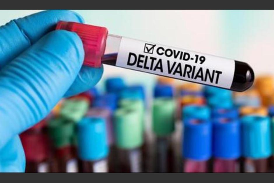 Las vacunas reducen que la infección se propague. (Foto: Tecnológico de Monterrey)&nbsp;