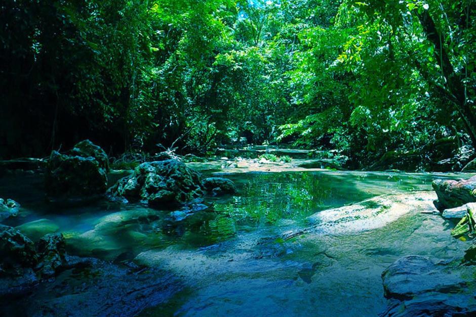 (Fotograf&iacute;a: Soy502)