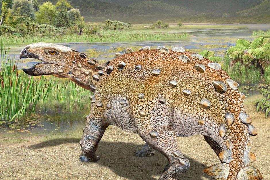 El Stegouros elengassen, un enigmático dinosaurio cuya cola en forma de garrote ha causado desconcierto en científicos (Foto: www.latercera.com)