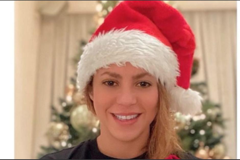 Shakira env&iacute;o un mensaje de navidad en sus redes sociales junto a sus mascotas. (Foto: Instagram)