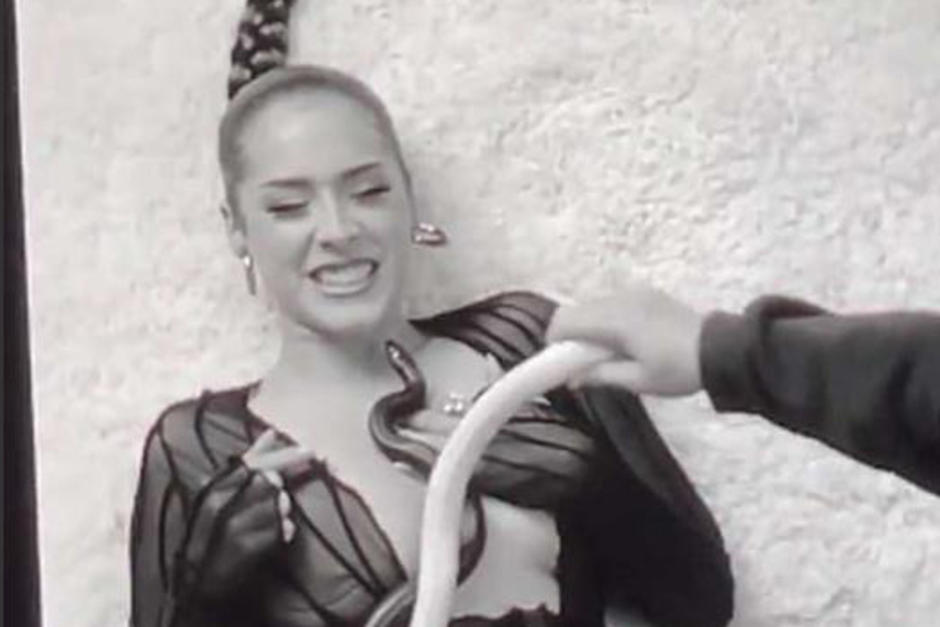 Maeta estaba por hacer el rodaje de un video cuando una de las serpientes le mordi&oacute; la cara. (Captura Video)