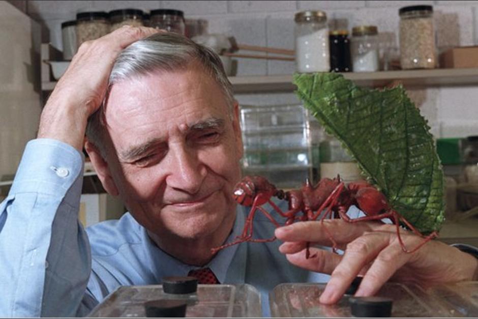 Edwar O. Wilson falleci&oacute; a los 92 a&ntilde;os, se le consideraba como uno de los 25 cient&iacute;ficos m&aacute;s importantes del mundo. (Foto: Errata Natura)