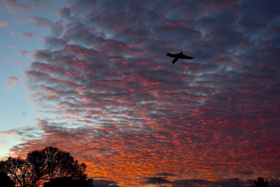 El fen&oacute;meno natural fue tendencia en las redes sociales el martes 5 de enero. (Foto: Fredy Hern&aacute;ndez/Soy502)