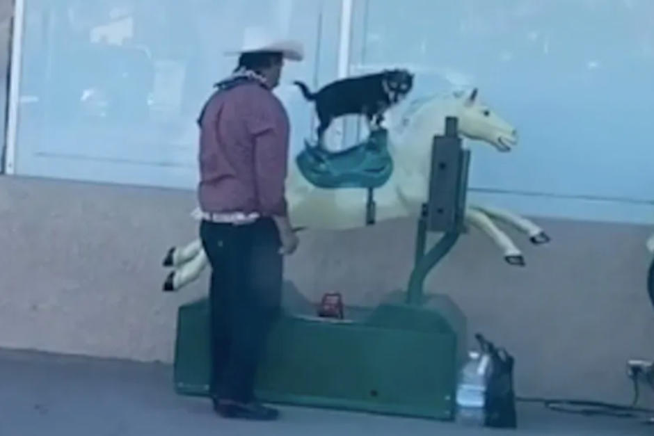 Un hombre dej&oacute; que el perrito se divirtiera en un juego mec&aacute;nico de supermercado. (Foto: Captura de video)