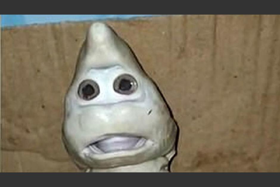 El tibur&oacute;n se desarrollaba en el interior de la madre cuando fue capturada por un pescador. Algunos lo han denominado Baby Shark. (Captura Video)